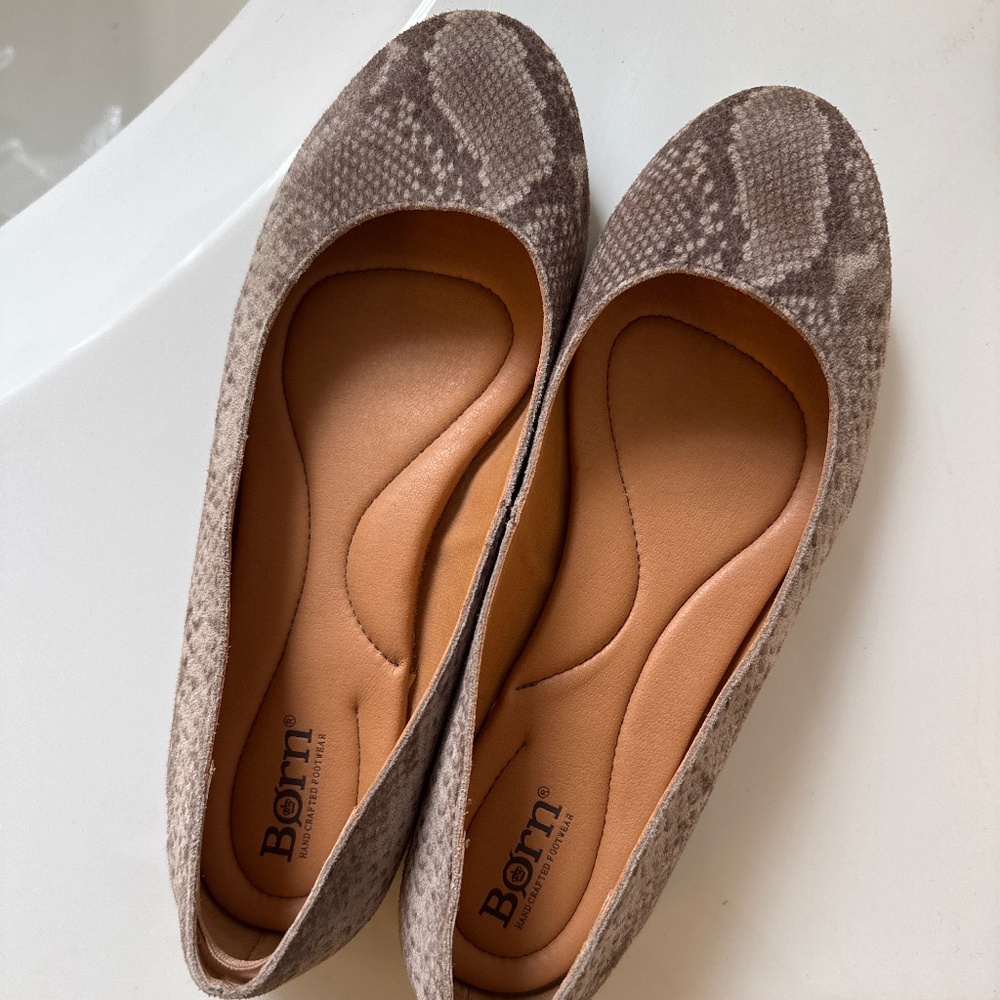 Born flats 8m